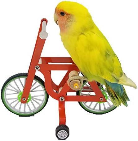 QBLEEV Bird Intelligence Training Toy - Parrot Puzzle Bicycle for Birds