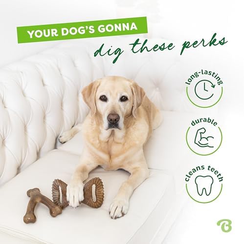 Benebone Wishbone/Dental Durable Dog Chew Toys, Real Bacon, 2 Count Medium (Pack of 8)