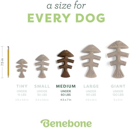 Benebone Fishbone Durable Dog Chew Toy for Aggressive Chewers, Real Fish, Made in USA, Medium
