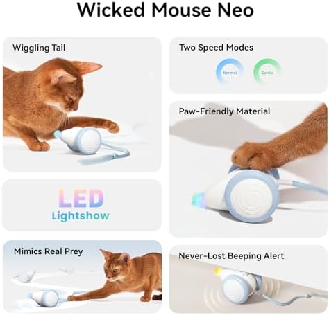 Cheerble Interactive Cat Toys for Indoor Cats, Automatic Moving Kitten Toys, Wicked Mouse Neo Cat Toy with Tail & Lights, Pet Cat Supplies, Rechargeable Cat Toys for Bored Indoor Adult Cats