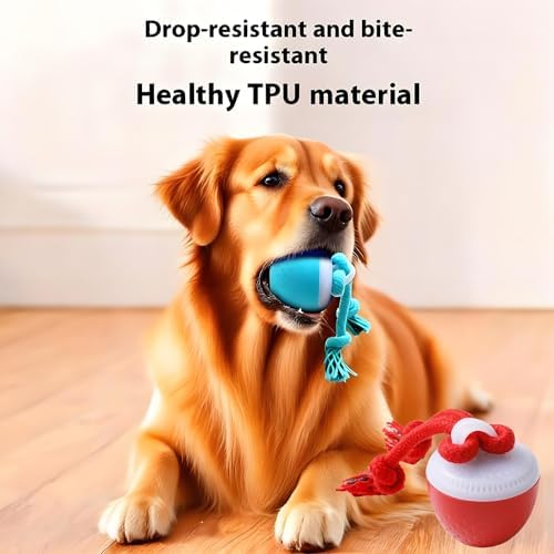 Interactive Dog Ball Toy with Birdsong & Rope, Automatic Moving Dog Toy