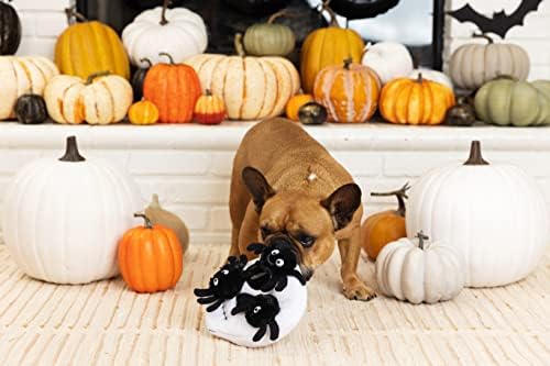 Fringe Studio Hide & Seek Burrow Plush Dog Toy, Skull with Spiders, 3 Piece Set, Pet Shop Collection (289206), Multicolored
