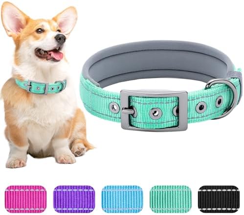 Segarty Reflective Boy Dog Collar for Dogs Neck 14.5-18.9in, Adjustable Wide Soft Comfortable Breathable Neoprene Padded Nylon Collar with Heavy Duty Metal Buckle for Medium Small Breeds (M, Green)
