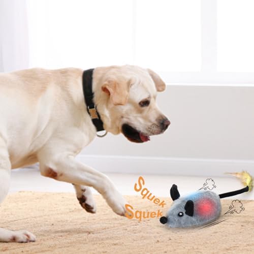 BABORUI Interactive Dog Toys Mouse, Escaping Mice Squeaky Dog Toy with Lights & Auto-Turn, Rechargeable Moving Dog Toys for Small/Medium/Large Dogs & Cats(Grey)