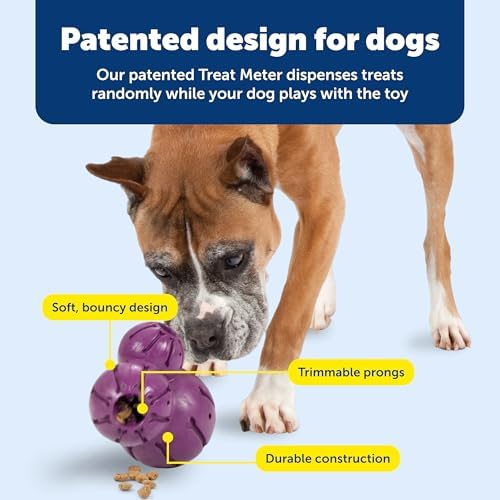 PetSafe Busy Buddy Barnacle Treat Dispensing Dog Toy, Large | 3 Treat Meter Prongs Randomly Dispense Kibble, Bone-Shaped Grooves Hold Spreadable Treats Like Peanut Butter