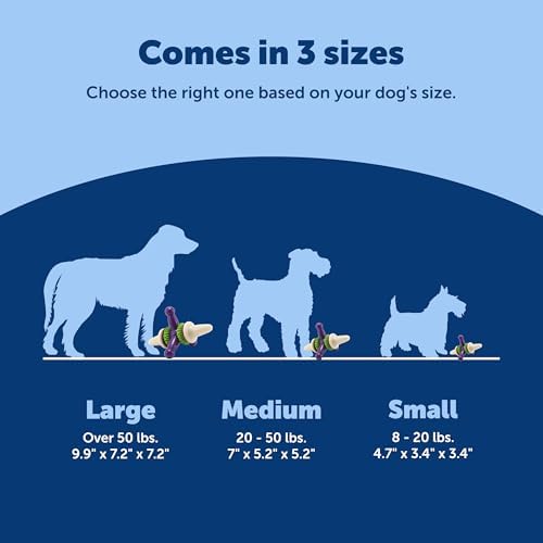 PetSafe Busy Buddy Jack - Treat Holding Dog Chew Toys - Helps Clean Teeth - Vanilla Scented Rubber for Strong Chewers - Treat Refills Included - Interactive Dog Toy Keeps Dogs Busy - Purple, Large
