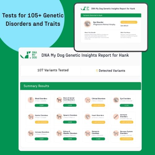 DNA MY DOG - Essential + Health Dog DNA Test Kit | 350+ Breeds Identified | 99%+ Accuracy | 105+ Health & Trait Results | Allergy Risk Score | Personality & Behavior Insights | Results in 2-3 Weeks