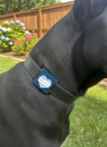 Two Tails Mama's Boy Dog Collar Holder Compatible with Apple AirTag