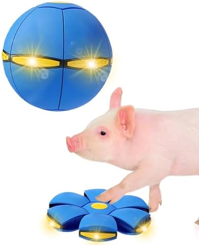 Pig Toy - Toy for Pigs, Interactive Pig Flying Saucer Disc Ball Toys with 6 Lights for Mini Pigs, Enrichment Play for Pet Pigs Supplies Enjoyment and Fun