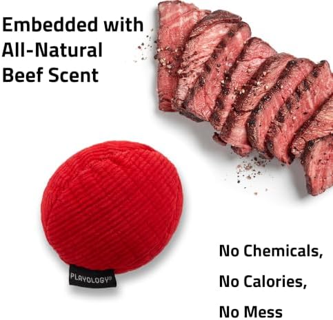Playology Durable Plush Ball Toy - Crinkle Ball - Medium, Beef Scent