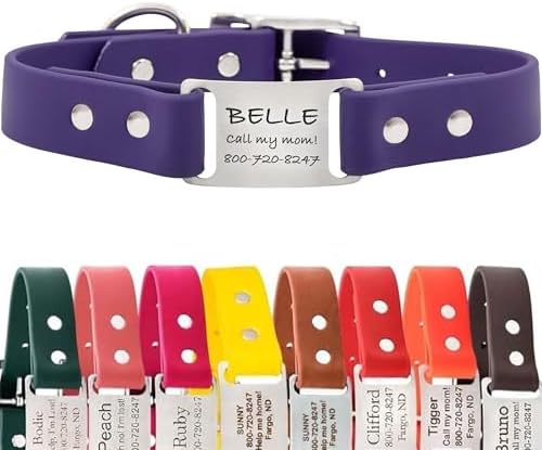 dogIDs Personalized Dog Collar – ScruffTag Custom Waterproof Biothane Dog Collar with Laser-Engraved Name, Durable & Odor-Resistant – USA Made | Purple, 3/4 in x 16 in (Fits Neck Sizes 14-18 in)