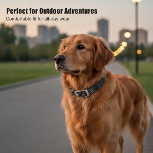 Reflective Soft Padded Dog Collar, 4 Sizes Adjusta Nylon Pet Collar