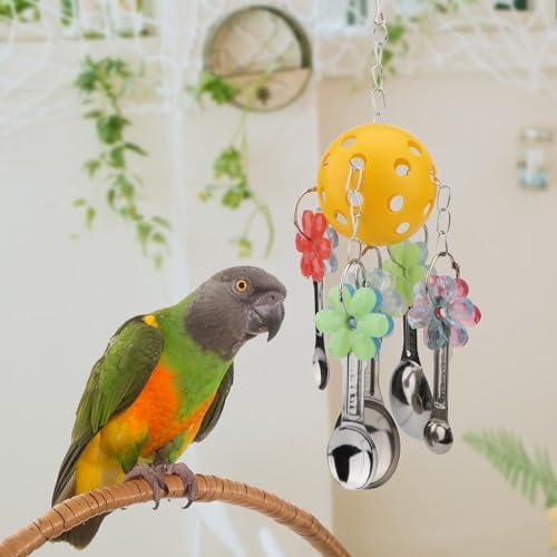 Hypeety Parrot Ball Toy Plastic Colorful Bird Chew Ball with Bells for Cage