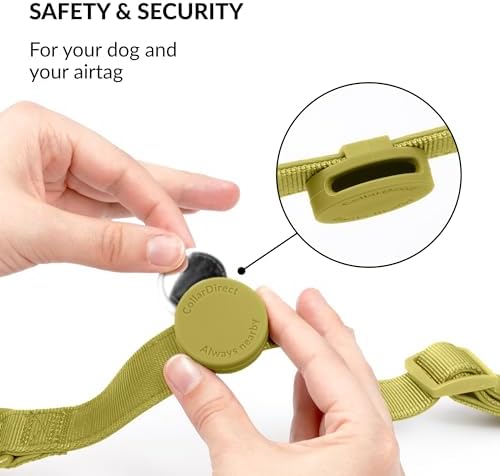 CollarDirect Airtag Nylon Dog Collar Silicon Holder Designed for Apple Airtag with QR Tags Personalized Dogs Puppies 5 Colors Black Pink Violet Green Orange (Green, L)