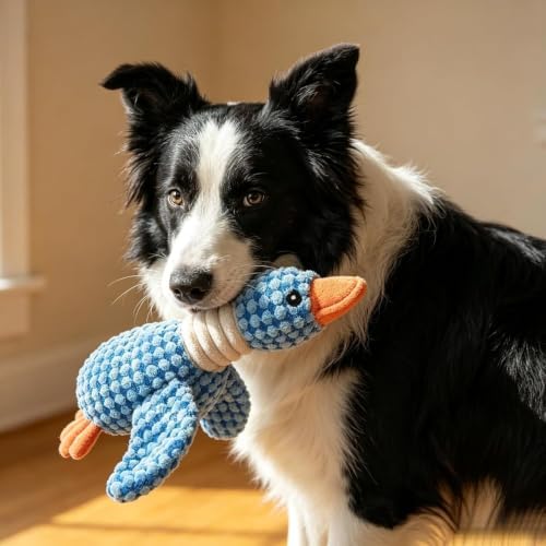 Plush Goose Dog Toy, Chew Toy for Teeth Cleaning & Stress Relief, Large Size Suitable for Dogs, Ideal for Easter, Spring Walks, Design & Materials,