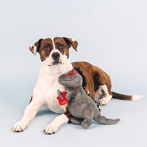 Fringe Studio Plush Dog Toy, Rocker Rex, Pet Shop Collection (314214)