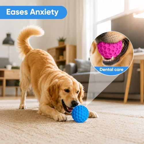 Squeaky Dog Balls Toy 2 Pack, Interactive Dog Toys for Aggressive Chewers, Squeaky Dogs Chew Toy for Medium Large Dogs, Durable Outdoor Dog Puzzle Birthday Toys for Fetch, Chase, and Chew Play