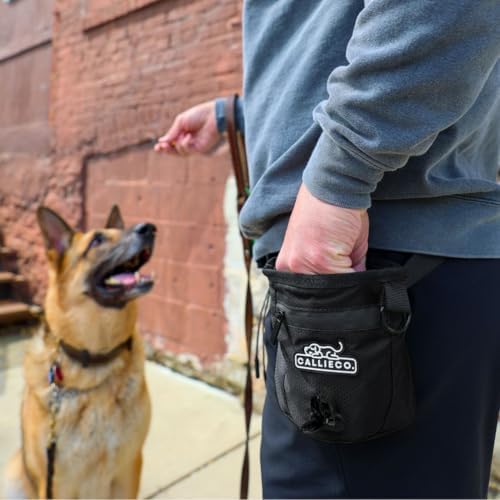 Callieco Mini Dog Treat Pouch with Magnetic & Zipper Closure | Small Waist Belt Training Behavior Aid Bag for Dog Walking with Poop Bag Dispenser (Black)