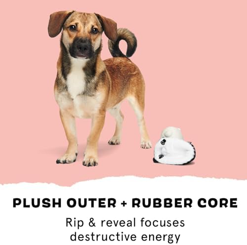 BarkBox Super Chewer Tough Dog Chew Toys - 2 Toys in 1 - Large