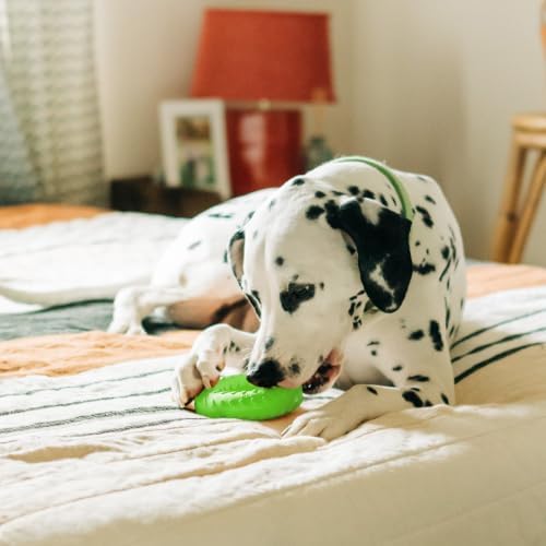 Playology Dual Layer Ring Toy for Aggressive Chewers, Sweet Potato Scent