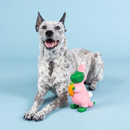 Fringe Studio Latex Dog Toy, Have A Hoppy Easter, Petshop Collection (366072)