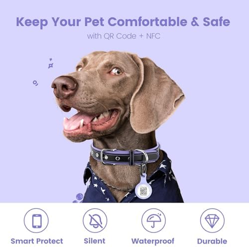 Dog ID Tag with QR Code & NFC, Silent Silicone Dog Name Tags Personalized for Pets- Scan QR for Instant Location Alert, Emergency Contact and Modifiable Pet Profile (Purple)