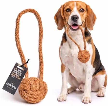 Canophera COCOBall Dog Chew Toy – Natural Coconut Fiber Ball with Cotton Rope, Durable Interactive Chew, Tug & Fetch Toy for Medium, Supports Dental Health & Boredom Relief