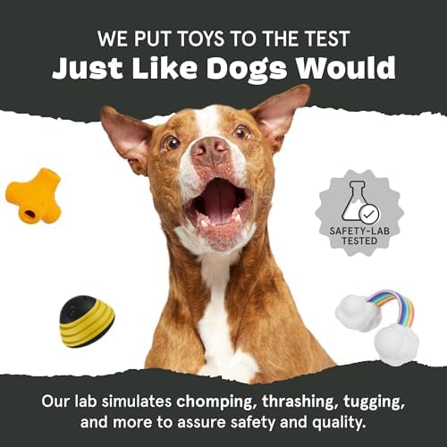 BarkBox Sven the Hedgie Rubber Dog Toy - Toy for Small Dogs