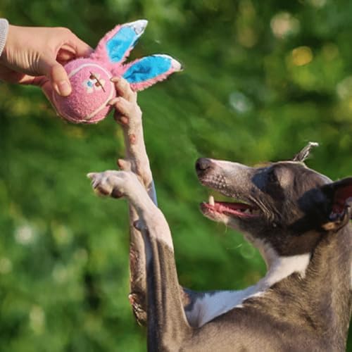 ZEZE Bonnie the Bunny Squeaky Dog Toy, Cute Plush Tennis Ball Dog Toy with Dual Squeaker & Crinkle Sound, Soft Fetch & Chew Toy for Small to Medium Dogs & Puppies, Gift-Ready Designer Pet Toy