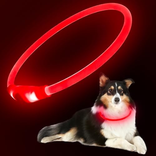 Flashseen LED Dog Collar, USB Rechargeable Glow Lighted up Collar, Red