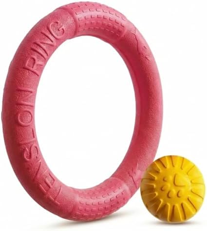 Large Dog Toy Ring and Ball Combo Set, Floating EVA 2 Pack (Red, Large)