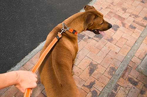 Reflective Nylon Choke Collar; Slip Show Obedience Training Gentle Choker for Large Dogs, Brown