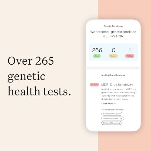 Wisdom Panel Premium Dog DNA Testing Kit - Most Comprehensive Test - 265+ Health Tests, 430+ Dog Breeds, 50+ Traits, Relatives, Ancestry, 2 Pack