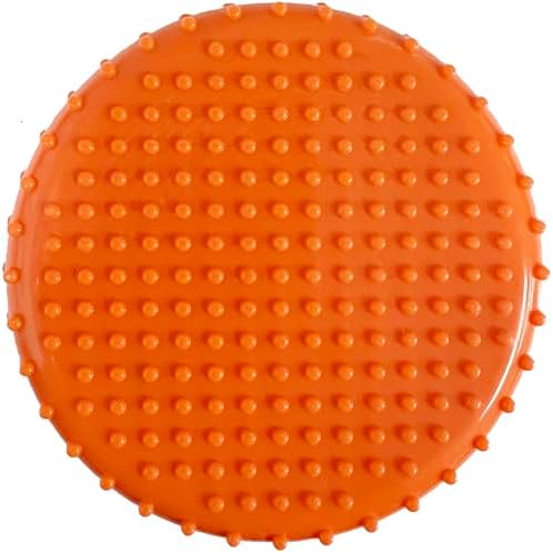 Pets First NBA Boston Celtics Hard-Nylon Bacon-Flavored Basketball Chew Toy, Indestructible Dog and Cat Chewy Toy, Tug, Fetch Toy, Sporty Fun Toy for Dogs