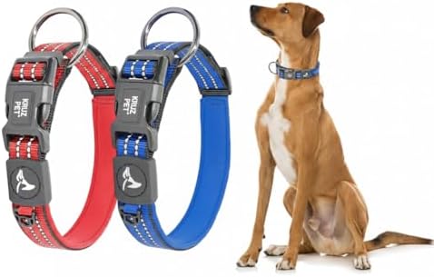 Dog Collar Bundle | Includes Blue, X-Large (Width- 1", Length - 25"-27.5") & Red, Large (Width - 1",Length-21-25") | Adjustable Dog Collars with Heavy Duty O-Ring | Comfortable Fit for Dogs