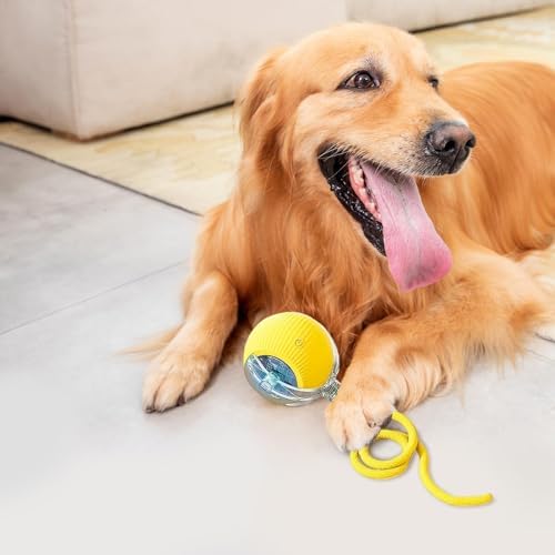 Interactive Rolling Dog Ball, Chewie Viral Rolling Ball, Chewie Ball for Dogs, Interactive Dog Smart Ball Toy, Smart Automatic Rolling Pet Ball for Dog Cat