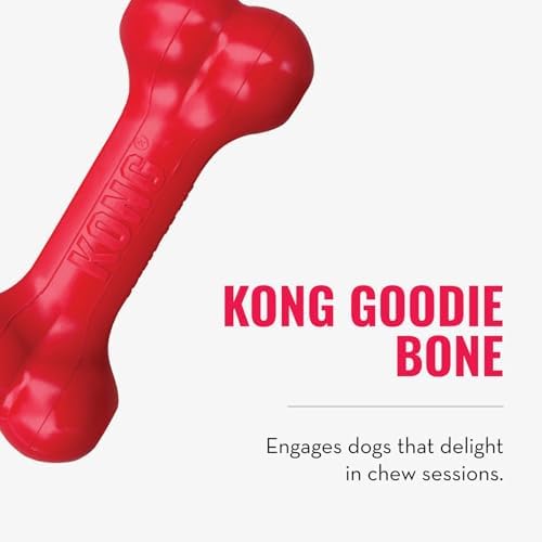 KONG Goodie Bone and Flyer Dog Toy Set, for Small Dogs