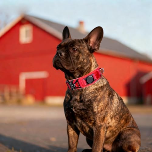 2" Tactical Dog Collar with Airtag Holder & Handle for Medium Dogs (Red)