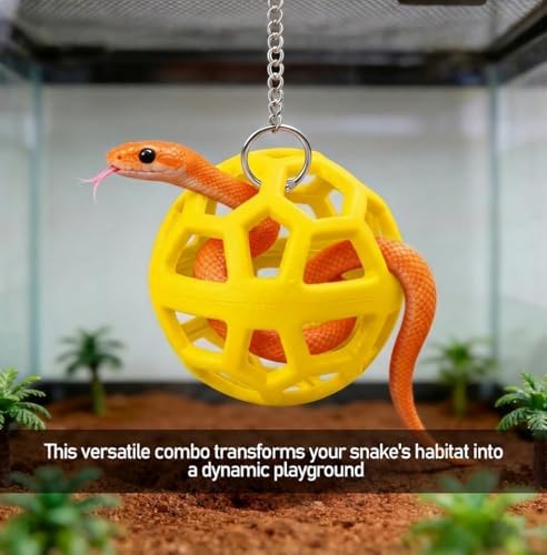 Reptile Tank Accessories Set with Interactive Feeder Ball, Skateboard Toy, Exercise Bells for Bearded Dragon, Lizard, Gecko Enrichment and Activity