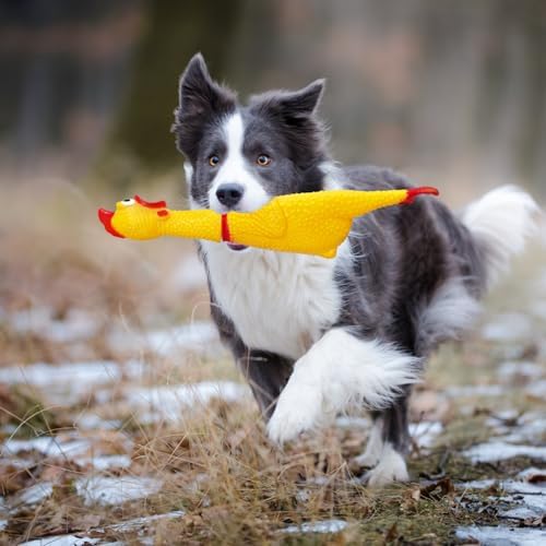 Screaming Chicken Squeaky Rubber Toy,12 Inch Dog Toy Gag Gifts Prank