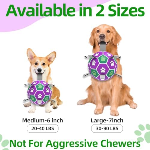 Diman Dog Toy Balls, 6 Inch Soccer Ball for Dogs with Straps