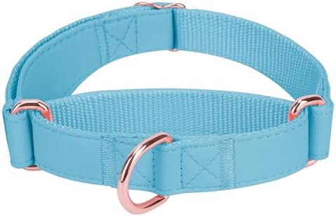 Soft Leather Martingale Dog Collar - Adjustable Rose Gold Limited Slip Collars [Easy to Clean], Stylish Durable Heavy Duty Nylon No Pull Training Collar for Small Medium Large Dogs XS Light Blue