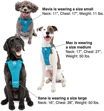 Kurgo Tru-Fit Smart Harness, Blue, Small