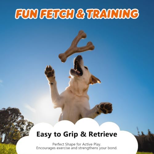 MECOOL Durable Nylon Dog Chew Toy – Bacon Flavored Y-Bone Shape for Aggressive Chewers, Tough Interactive Teething Bone for Medium Large Dogs, Long-Lasting Dental Chew Toy