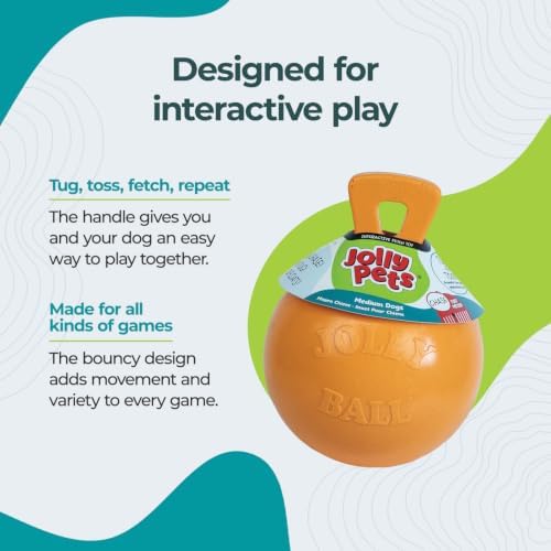 Jolly Pets Tug-n-Toss - Heavy Duty Chew Ball w/ Handle (Orange, 6")
