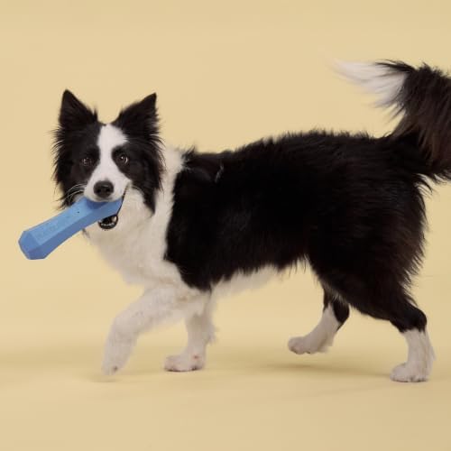 Playology Squeaky Chew Stick - Scented Dog Toy - Jumbo, Blueberry Scent