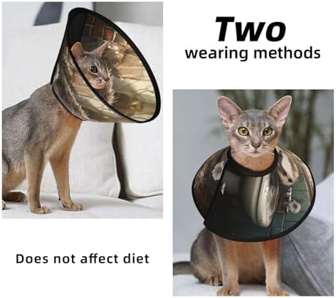 Custom Pet Cones - Unique Design Cat & Dog Cone, Collar for Post-Surgery Recovery, Adjustable Neck Smart Hedgehog Large