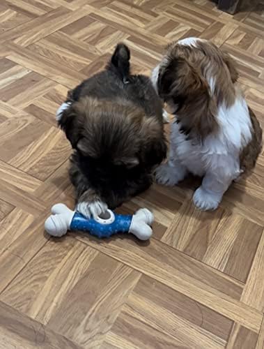 Dog Toy Bone Aggressive Chew Power Dog Bone for Aggressive Chewers, Great Toy for Your Best Friend- (1 PC) Blue Color (Yellow)