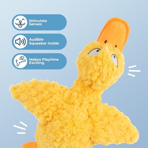 Best Pet Supplies Squeaky Plush Dog Toy - Ducky Doodle, Medium | Soft Plush, Squeaks & Crinkles, Perfect for Moderate Chewers, Toss & Fetch Play, Stress & Anxiety Reliever, Ideal Gift Toy