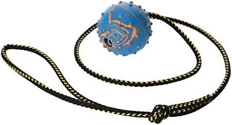 Dingo Fetch Ball Made of Hard Rubber with Knobs and String, Small, for Aport Game Dog Training 17321